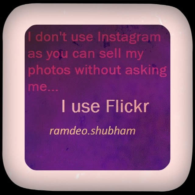 Flickr is better photo sharing than Instagram 