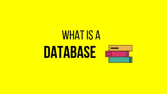 What is a Database?